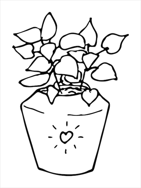 Planta de casa desenhada à mão fofa em um clipart de pote ilustração de planta doodle caseiro aconchegante