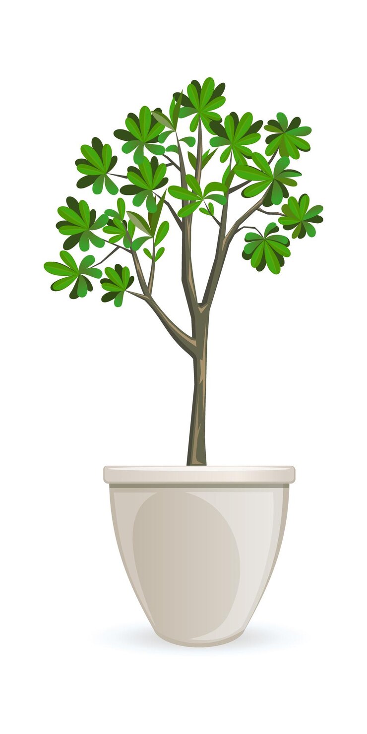 Vetor planta de casa em um grande vaso branco. árvore em vaso