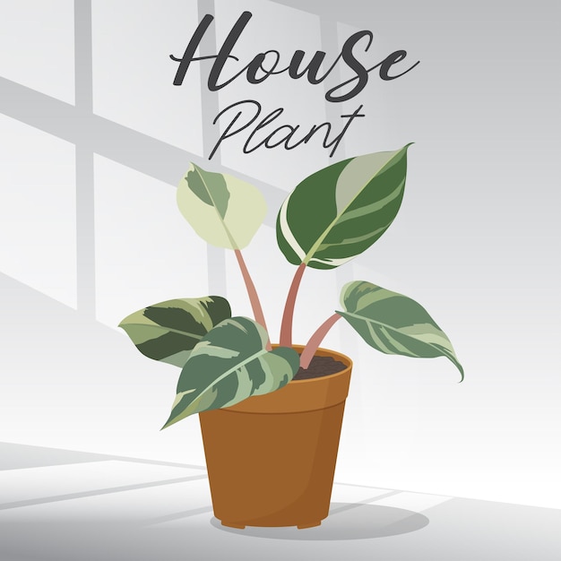 planta de interior