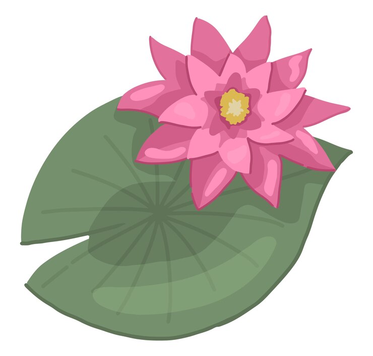 Vetor planta de lírio d'água abstrata flor de lótus com folha estilo desenho animado clipart botânico isolado em branco