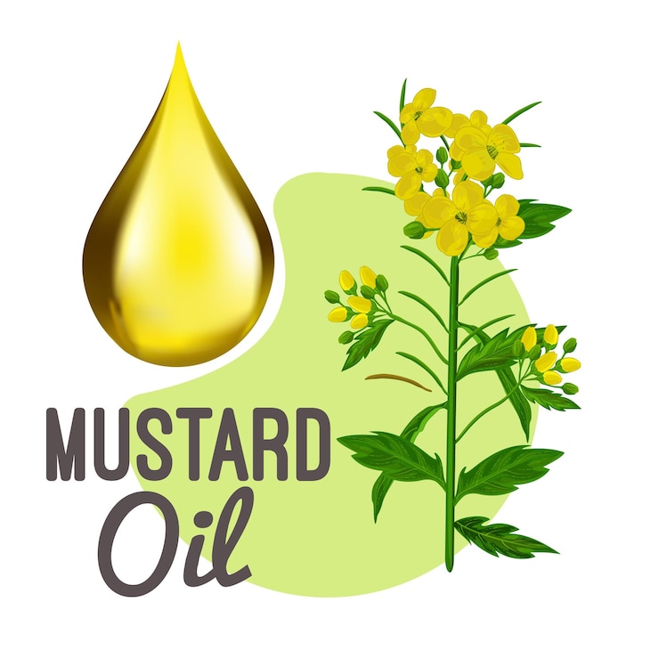 Vetor planta de mostarda amarela vetorial e ilustração de gota