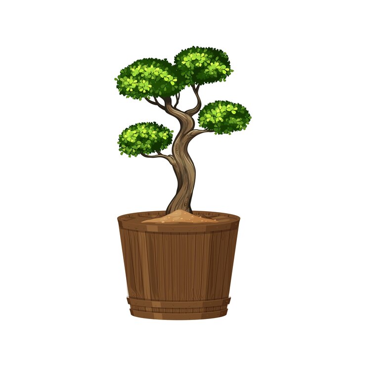 Vetor planta de vaso com folhas verdes em um fundo branco isolado