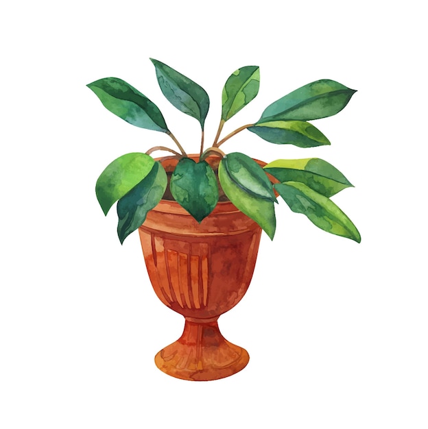 Planta em casa em vaso de terracota clipart de aquarela desenhado à mão isolado em um fundo branco