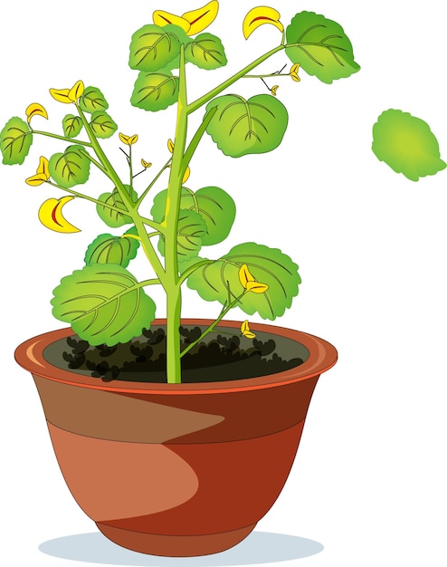 Vetor planta em crescimento em uma ilustração vetorial de pote