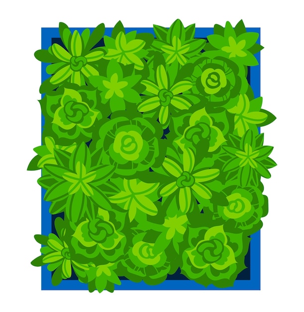 Vetor planta em vaso de desenho animado isolado em ilustração vetorial branca folha verde gráfica natureza decoração do jardim no fundo decoração do interior da casa