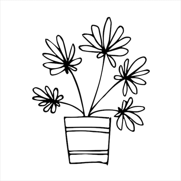 Planta interna desenhada à mão em um design de doodle de pote Ilustração de plantas caseiras