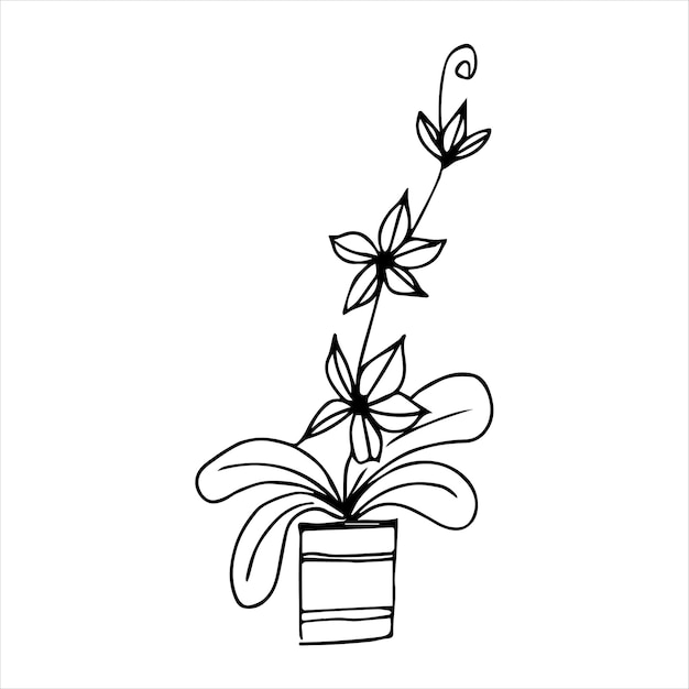 Planta interna desenhada à mão em um design de doodle de pote ilustração de plantas caseiras