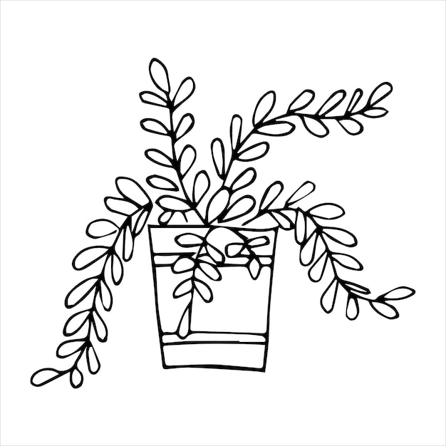 Planta interna desenhada à mão em um design de doodle de pote plantas domésticas