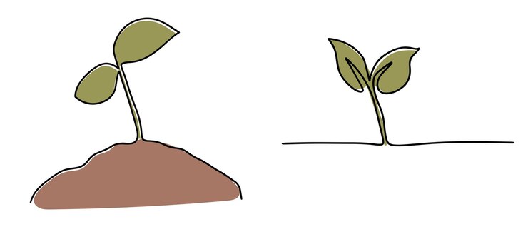 Vetor planta jovem em crescimento desenho de linha contínua de broto com folhas poster com mudas
