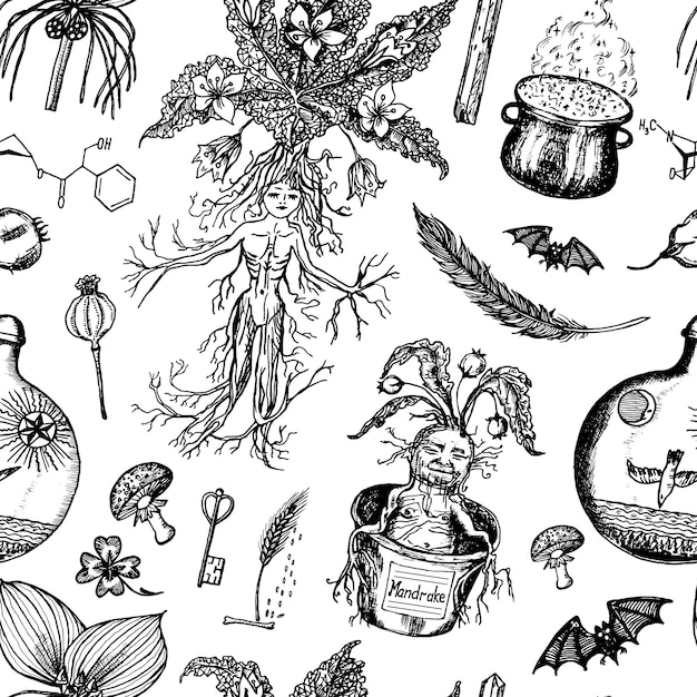 Mandrake Ilustrações, Vetores E Clipart De Stock – (428 Stock