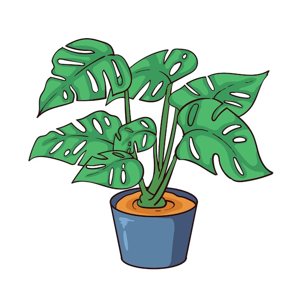 Vetor planta monstera desenhada à mão