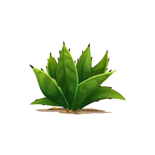 Planta sentinela agave americana ícone de cacto isolado