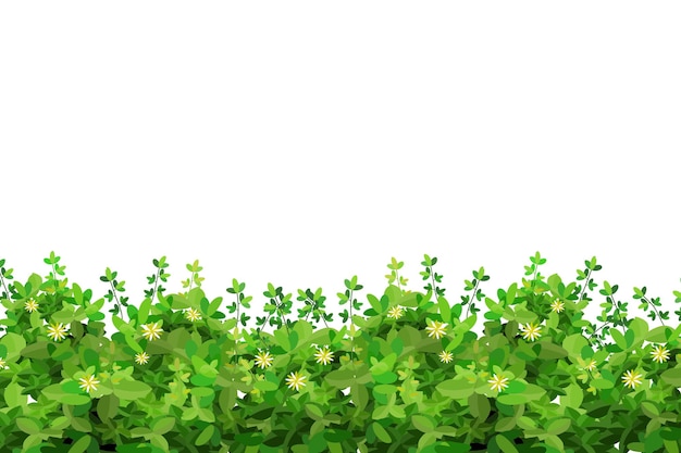 Planta verde ornamental em forma de cerco arbusto de jardim realista arbusto sazonal árvore de boxwood coroa arbusto folhagem para decorar um parque um jardim ou uma cerca verde