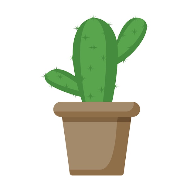 Plantar vaso de cactos