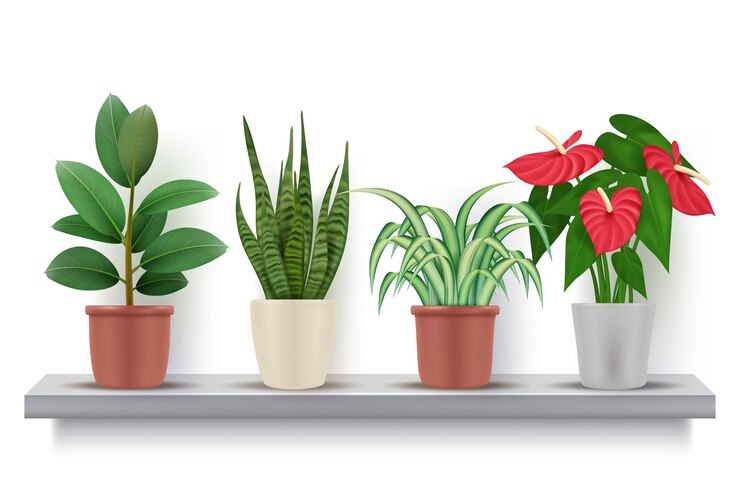 Vetor plantas caseiras. flores realistas com folhas em ilustrações vetoriais de vasos decorativos de vasos. vaso de flores em flor, flor na prateleira