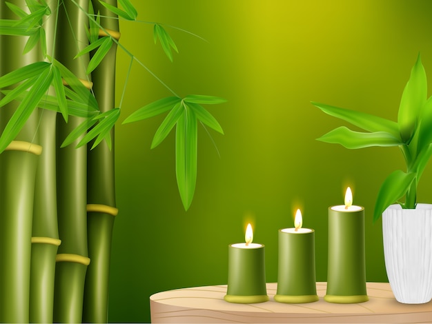 Vetor plantas de bambu realistas com velas de bambu