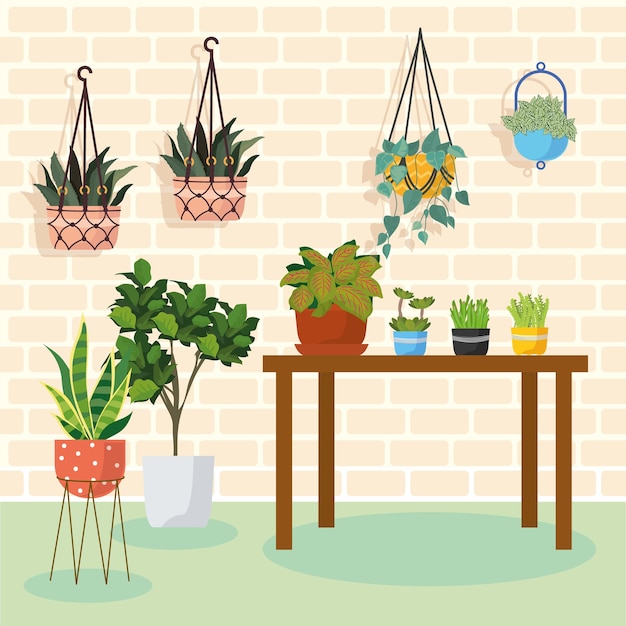 Plantas de cabide e plantas