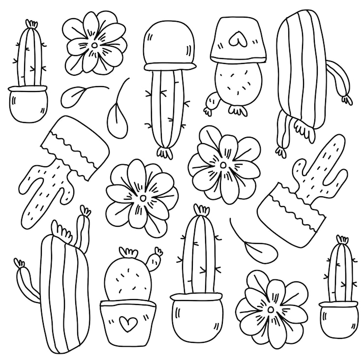 Vetor plantas de cactos com vetor de estilo de linha doodle