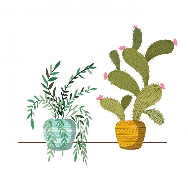 Plantas de casa com vasos