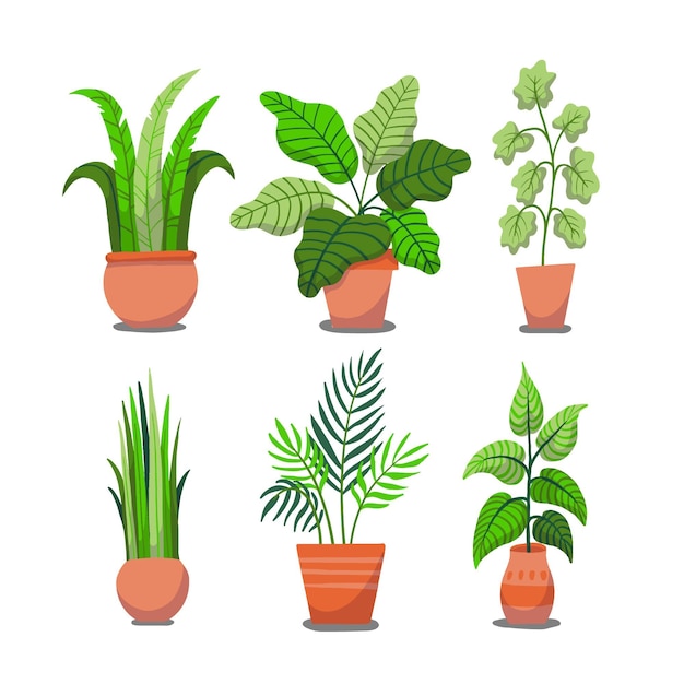 Plantas de casa desenhadas à mão na coleção de vasos