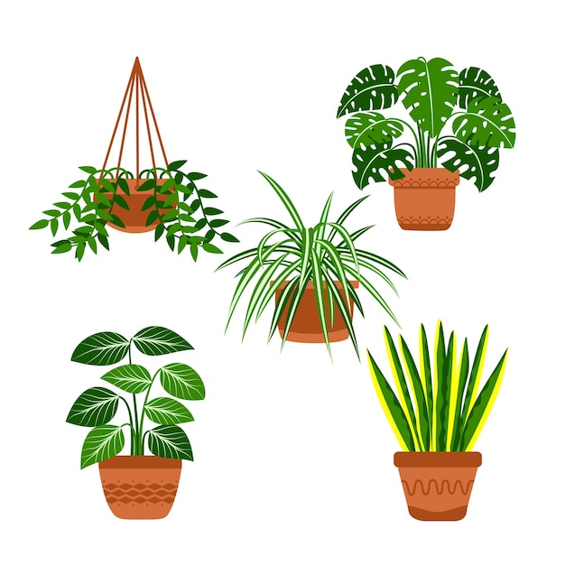 Vetor plantas de casa verdes frescas em vaso vetor premium