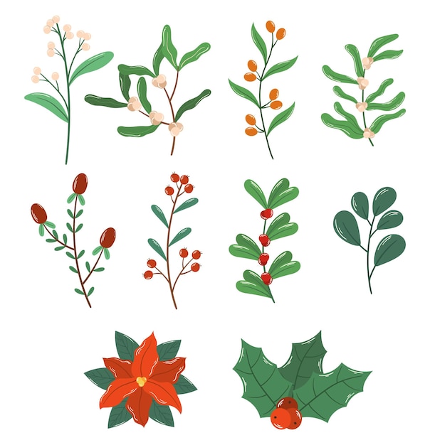 Plantas de coleção de inverno de bagas e folhas poinsettia holly berries e rowan ramos elementos florais de natal