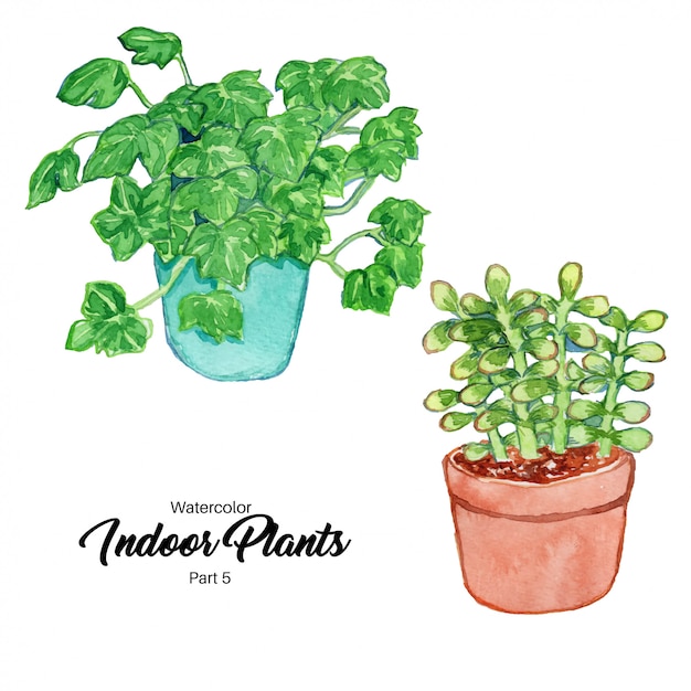 Plantas de interior em aquarela