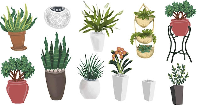 Plantas de interior em vasos ilustração vetorial desenhada à mão hyuge aconchego conforto doméstico