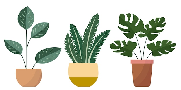 Plantas de interior em vetor de estilo plano