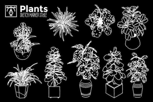 Plantas de mão desenhada. conjunto de vistas de plantas isoladas.