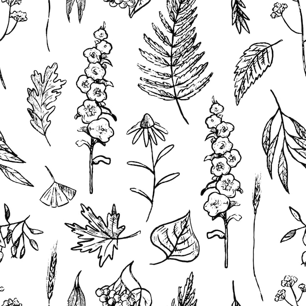 Plantas de outono e folhas sem costura ornamento vetorial desenhado à mão em estilo de desenho design botânico vintage para decoração de papel de parede têxtil de envoltório de fundo