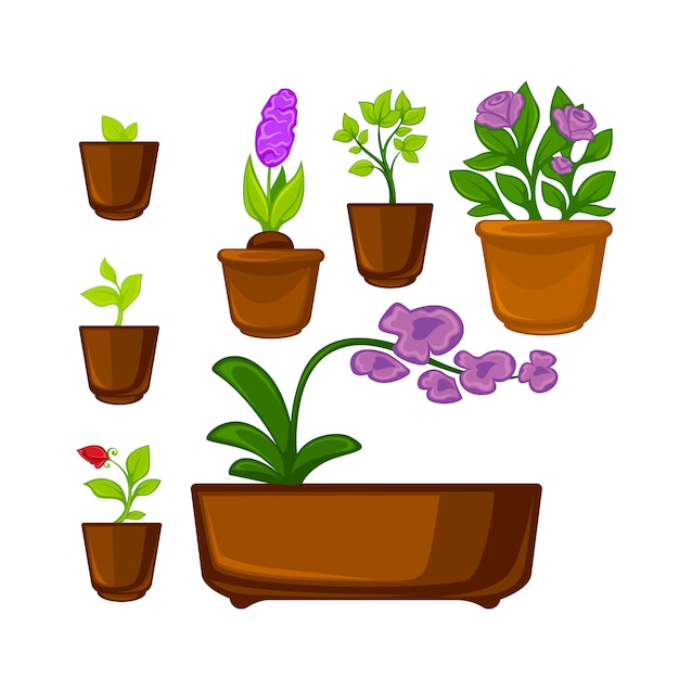 Plantas de potes com flores e folhas definido.