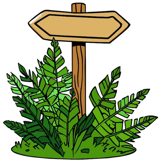 Plantas de samambaia ao redor da placa de sinalização de madeira direcional de seta