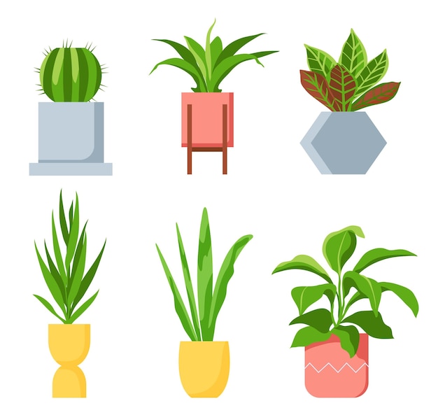 Plantas de vaso diferentes plantas de casa com folhas verdes suculentas e elementos decorativos escandinavos de cactos para o interior de casa