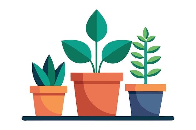 plantas decorativas arte vetorial para projetos de casa e jardim