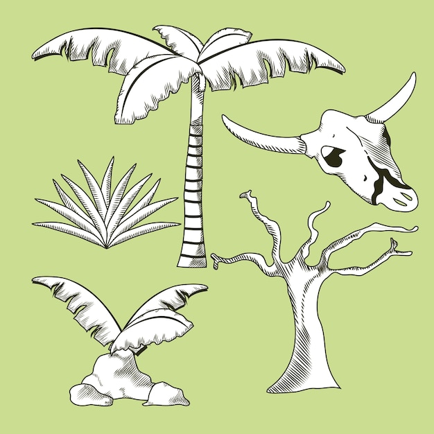 Plantas do deserto desenhos animados desenhados à mão