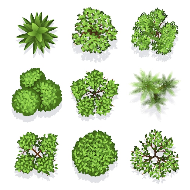 Plantas e árvores diferentes da vista superior. vector conjunto de árvores para arquitetura ou paisagismo. illu