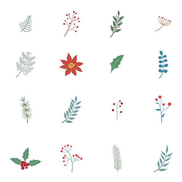 Plantas e flores de inverno, elementos de inverno com folhas de abeto, galhos de pinheiro