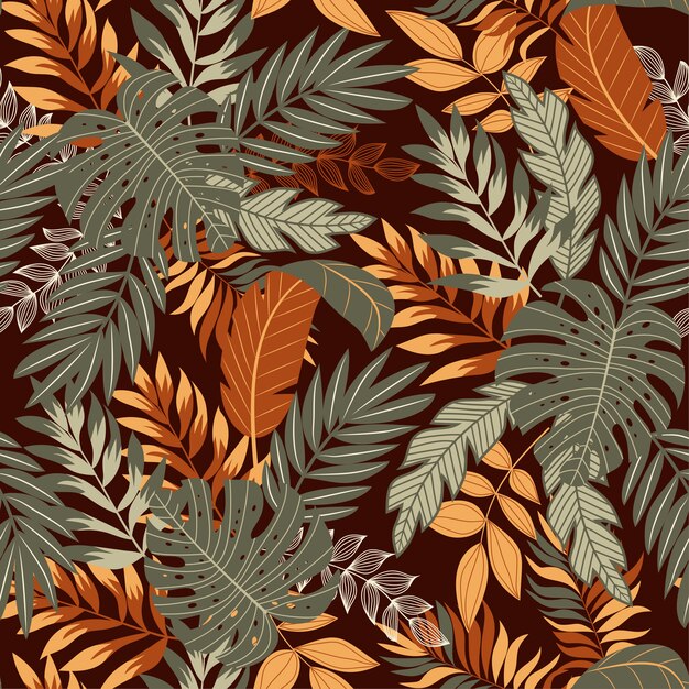Plantas e folhas tropicais
