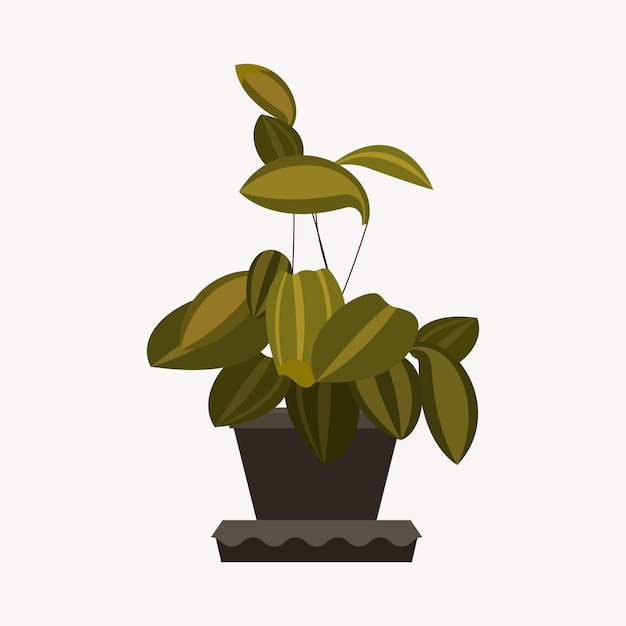 Vetor plantas em casa em um vaso de flores. plantas de casa isoladas. ilustração da planta