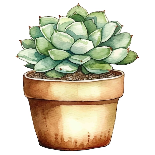 Vetor plantas em vaso ilustração de aquarela