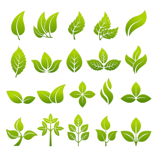 Plantas estilizadas para projetar logotipos