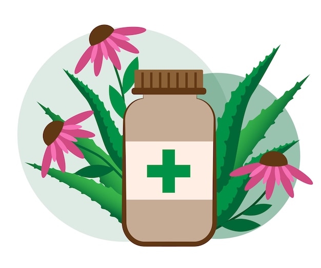 Vetor plantas medicinais para sua imunidade aloe e echinacea