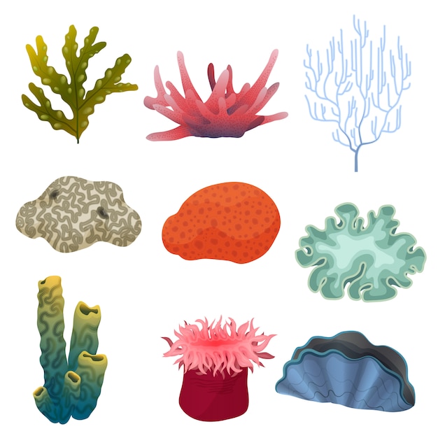Vetor plantas subaquáticas e recifes de corais