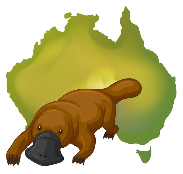 Platypus e austrália mapa