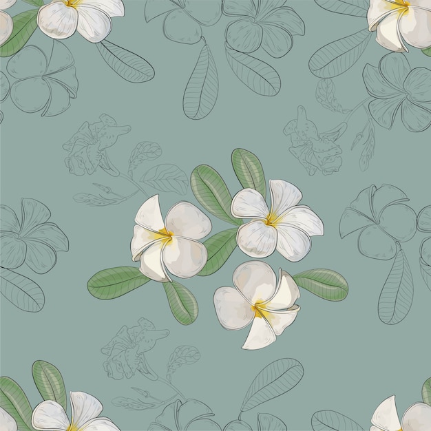 Vetor plumeria flores sem costura padrão ilustração