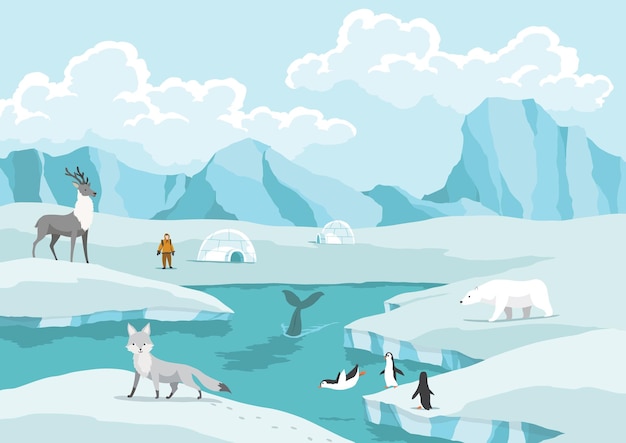 Vetor polo norte ártico ursos brancos, focas e pinguins na deriva e derretimento de geleiras no oceano, montanhas de neve, icebergs, estação de inverno polar. ilustração vetorial de desenho animado