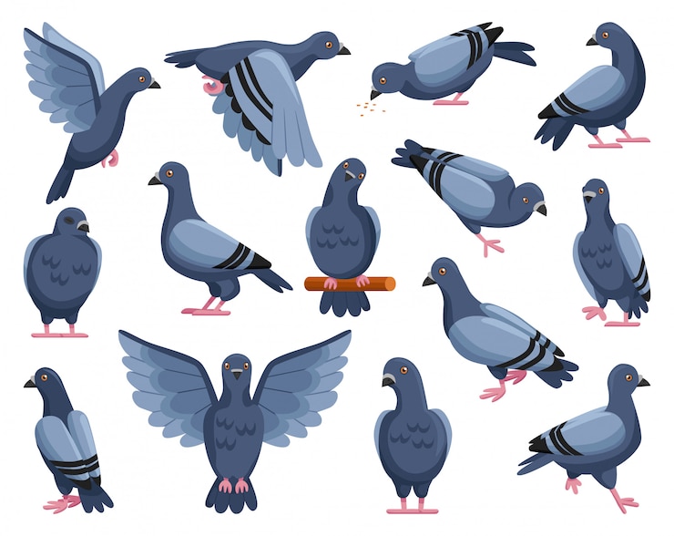 Vetor pombo da ilustração dos desenhos animados de paz