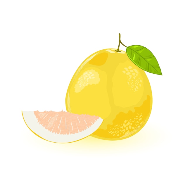 Pomelo ou shaddock inteiro com folha verde e um segmento dela