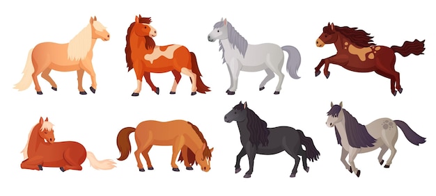 Pôneis criação cartoon bonito pônei shetland raça fazenda lindos pequenos cavalos com caudas de criança cavalo garoto deitado poni animal isolado engenhoso ilustração vetorial de criação de cavalos e shetland